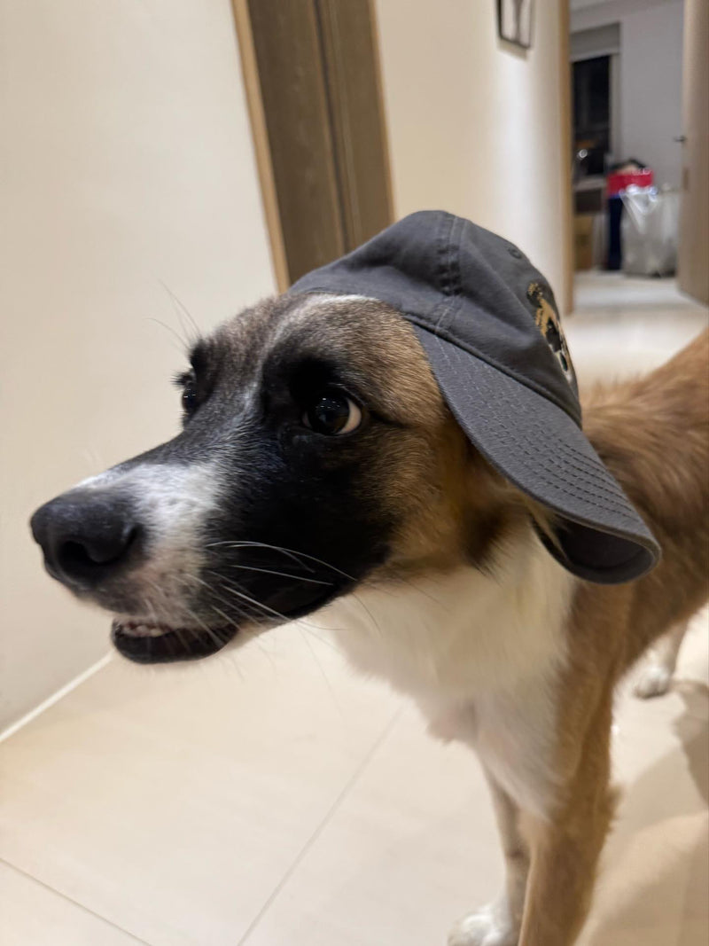 客戶分享
